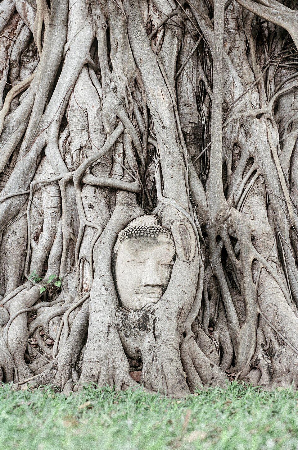 Founding of Ayutthaya