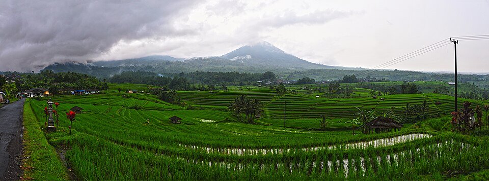 Bali