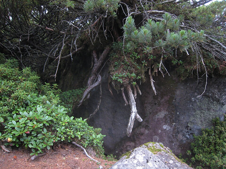 Daisetsuzan National Park