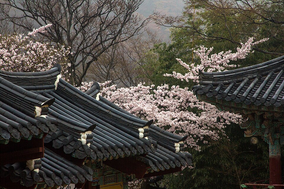 梵魚寺