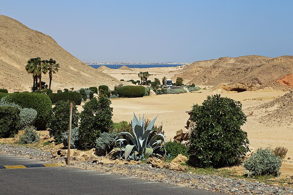 Sahl Hasheesh