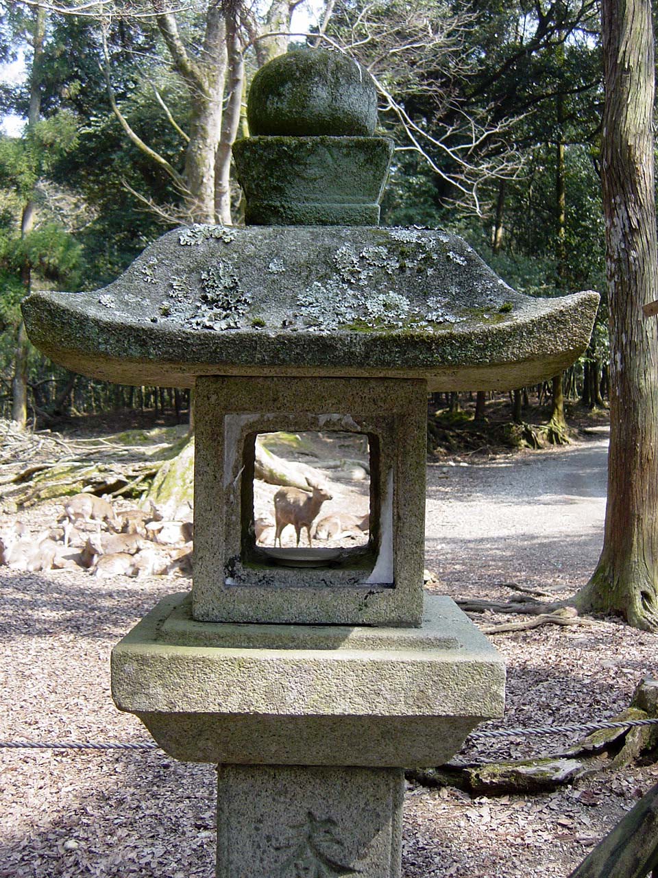春日大社