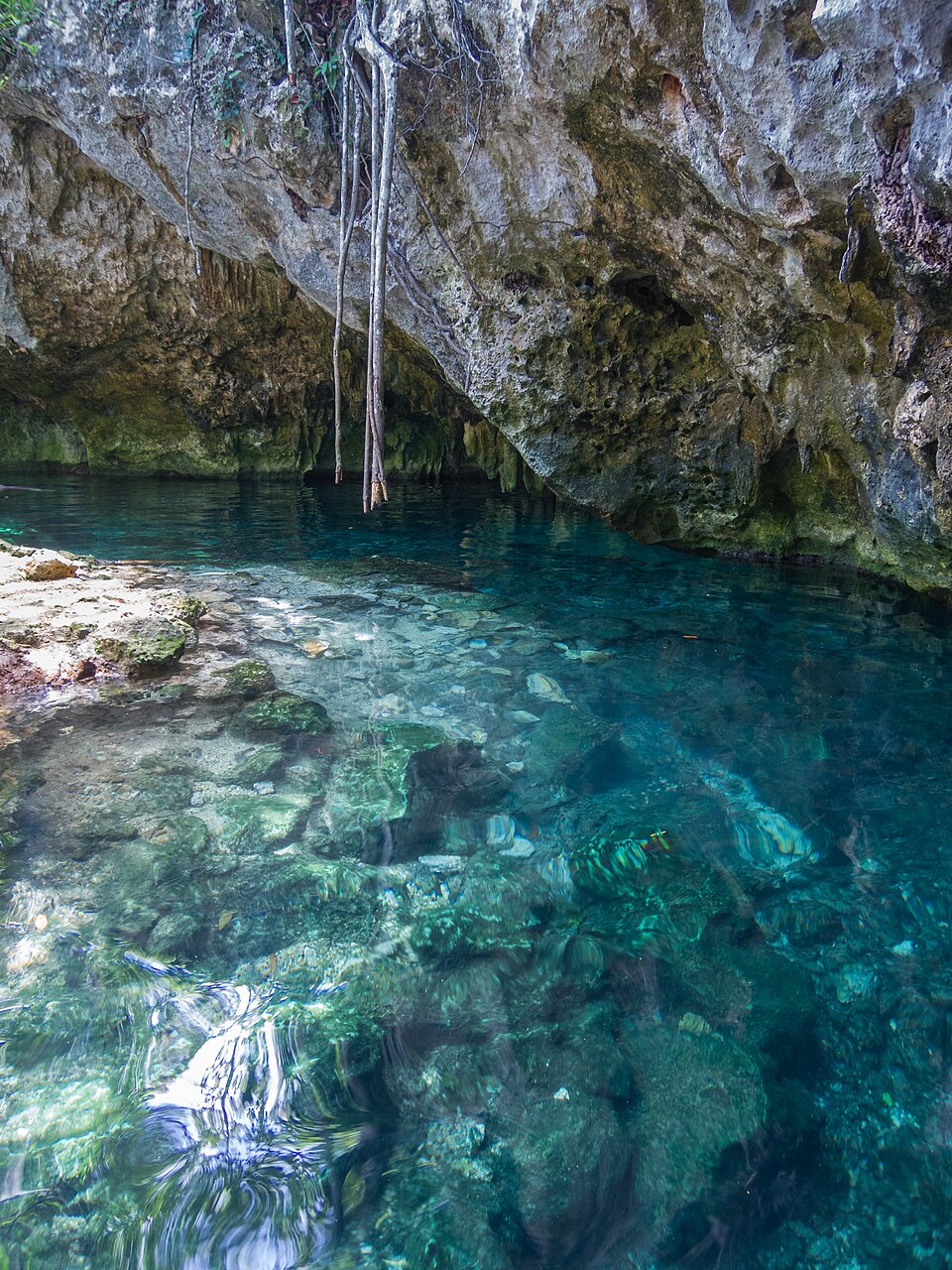 Gran Cenote